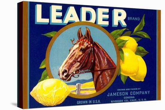Leader Lemon Label-null-Stretched Canvas