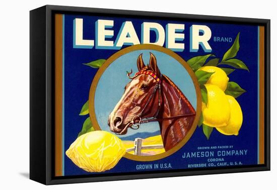 Leader Lemon Label-null-Framed Stretched Canvas