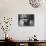 Leader of Minimal Art Movement Ad Reinhardt Working on One of His 'Black' Paintings-John Loengard-Premium Photographic Print displayed on a wall