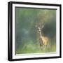 Leader of the Herd White Tailed Buck-Jai Johnson-Framed Giclee Print