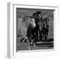 Leader of the Pack-Wendy Caro-Framed Giclee Print