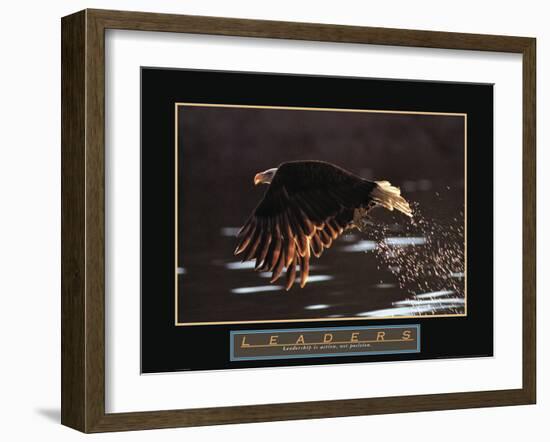 Leaders - Bald Eagle-Unknown Unknown-Framed Photo