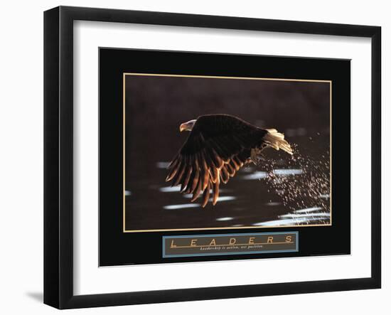 Leaders - Bald Eagle-Unknown Unknown-Framed Photo