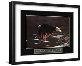 Leaders - Bald Eagle-Unknown Unknown-Framed Photo