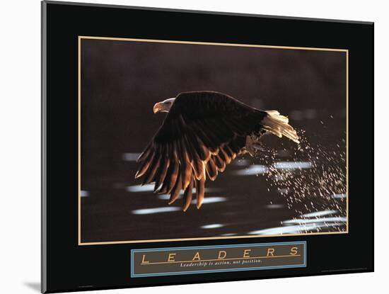 Leaders - Bald Eagle-Unknown Unknown-Mounted Photo