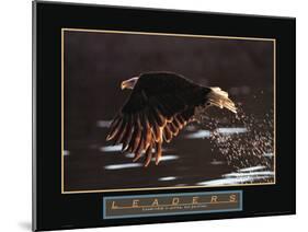 Leaders - Bald Eagle-Unknown Unknown-Mounted Photo
