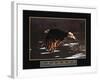 Leaders - Bald Eagle-Unknown Unknown-Framed Photo