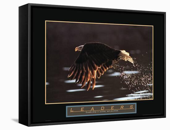 Leaders - Bald Eagle-Unknown Unknown-Framed Stretched Canvas