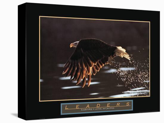 Leaders - Bald Eagle-Unknown Unknown-Stretched Canvas