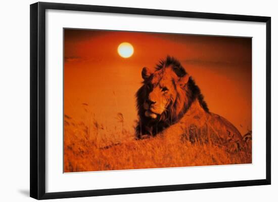 Leadership: Lion-null-Framed Art Print