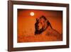 Leadership: Lion-null-Framed Art Print