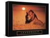 Leadership - Lion-Unknown Unknown-Framed Stretched Canvas