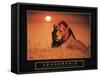 Leadership - Lion-Unknown Unknown-Framed Stretched Canvas