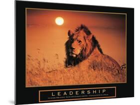 Leadership - Lion-Unknown Unknown-Mounted Photo