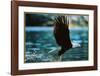 Leadership-null-Framed Art Print