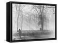 Canvas Black