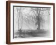 Brown Frame