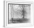 White Frame