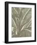 Leaf 11-Botanical Series-Framed Art Print