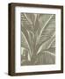 Leaf 11-Botanical Series-Framed Art Print