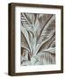 Leaf 17-Botanical Series-Framed Art Print