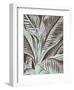 Leaf 17-Botanical Series-Framed Art Print