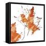 Leaf 1-Karen Williams-Framed Stretched Canvas