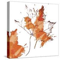 Leaf 1-Karen Williams-Stretched Canvas