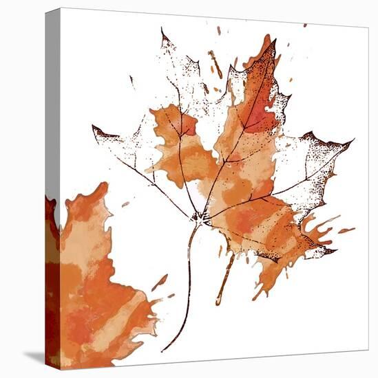 Leaf 1-Karen Williams-Stretched Canvas