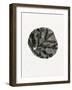 Leaf, 2014-Bella Larsson-Framed Giclee Print