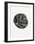 Leaf, 2014-Bella Larsson-Framed Giclee Print