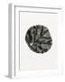 Leaf, 2014-Bella Larsson-Framed Giclee Print