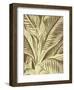 Leaf 3-Botanical Series-Framed Art Print