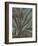 Leaf 5-Botanical Series-Framed Art Print