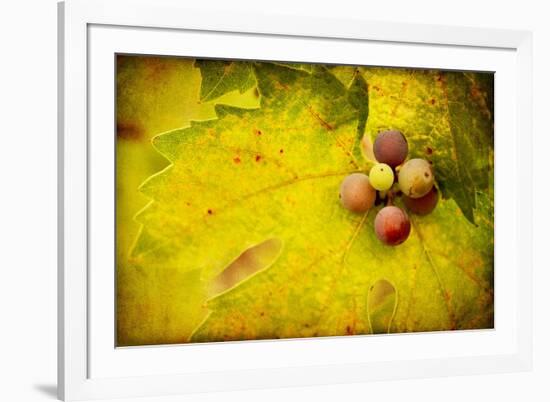 Leaf and Cluster 1-Jessica Rogers-Framed Giclee Print