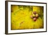 Leaf and Cluster 1-Jessica Rogers-Framed Giclee Print