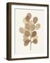 Leaf and Stem V-Laura Horn-Framed Art Print