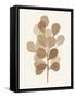 Leaf and Stem V-Laura Horn-Framed Stretched Canvas