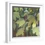 Leaf Array I-Sandra Iafrate-Framed Art Print