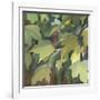 Leaf Array I-Sandra Iafrate-Framed Art Print