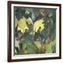 Leaf Array II-Sandra Iafrate-Framed Art Print