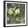 Leaf Array II-Sandra Iafrate-Framed Art Print