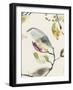 Leaf Branch Triptych II-Jennifer Goldberger-Framed Art Print