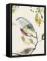 Leaf Branch Triptych II-Jennifer Goldberger-Framed Stretched Canvas