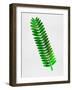 Leaf Branch-Jasmine Woods-Framed Art Print