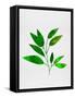 Leaf Branch-Jasmine Woods-Framed Stretched Canvas