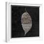 Leaf By The Spirit 2-Sheldon Lewis-Framed Art Print