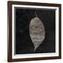 Leaf By The Spirit 2-Sheldon Lewis-Framed Art Print
