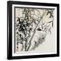 Leaf C, from 'tian Jingzhai Mozhu Ce', from Rugao, Jiangsu Province-Rang Tian-Framed Giclee Print