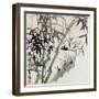 Leaf C, from 'tian Jingzhai Mozhu Ce', from Rugao, Jiangsu Province-Rang Tian-Framed Giclee Print